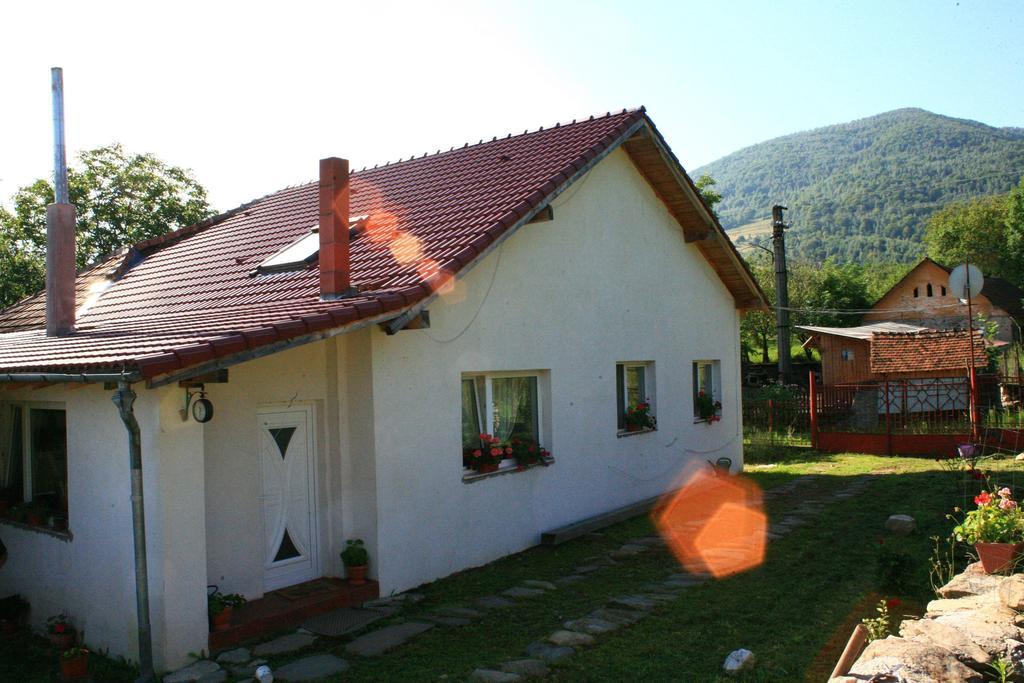 Cuibul Salamandrelor Hotel Sarmizegetusa Exterior photo